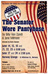 The Senator Wore Pantyhose poster